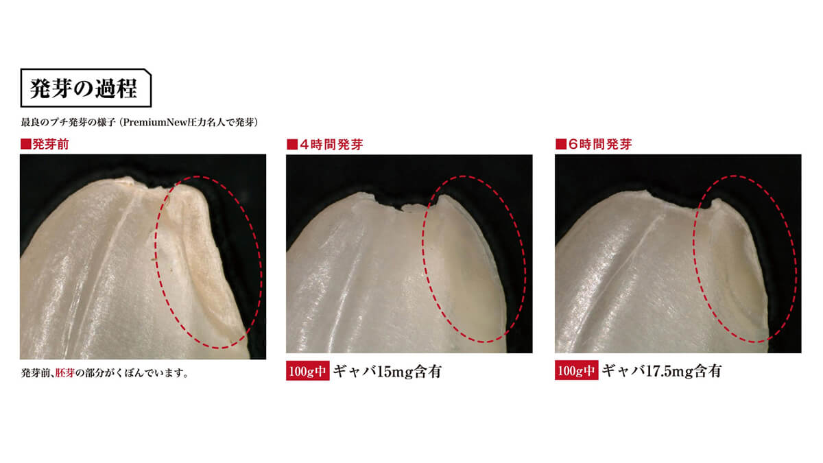 Premiun New 圧力名人で発芽させた玄米